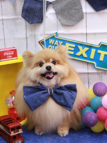 20230421梛都ちゃん